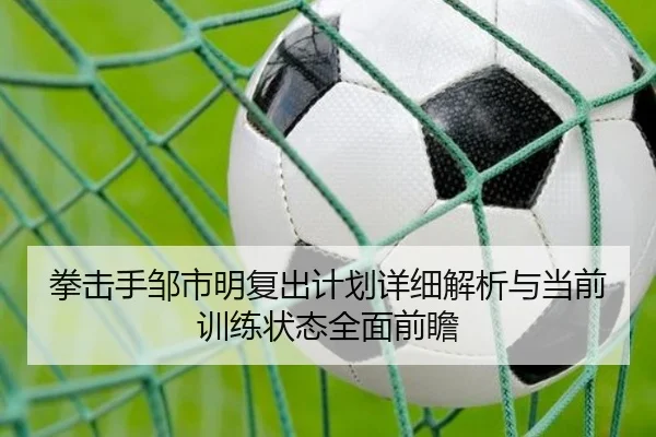 拳击手邹市明复出计划详细解析与当前训练状态全面前瞻